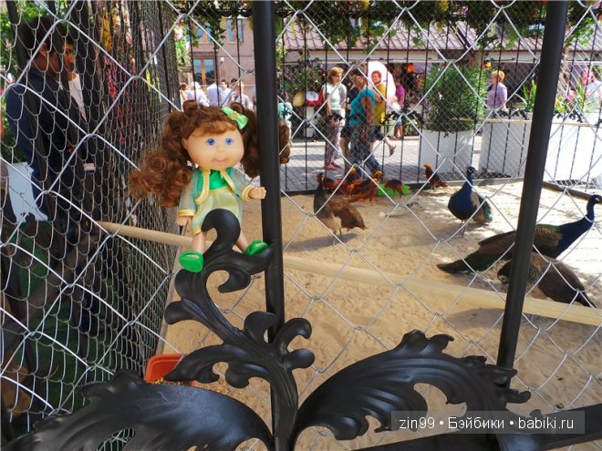 День варенья теперь с куклой капусткой Cabbage Patch