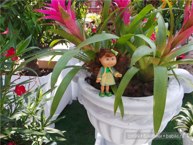 День варенья теперь с куклой капусткой Cabbage Patch