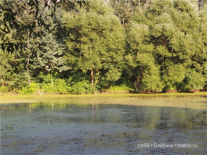 Лена, Lena Kidz 'n' Cats