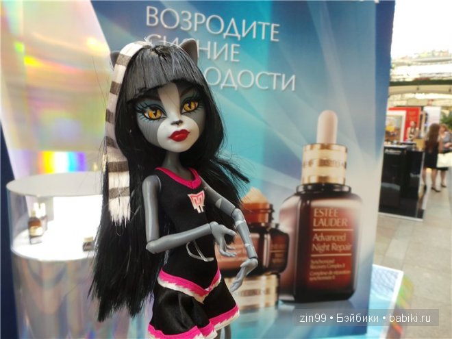 Монстры Хай Moster High. Кошки против Волков