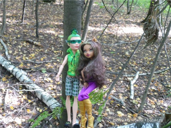 Монстры Хай Moster High. Кошки против Волков