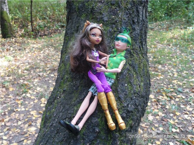 Монстры Хай Moster High. Кошки против Волков