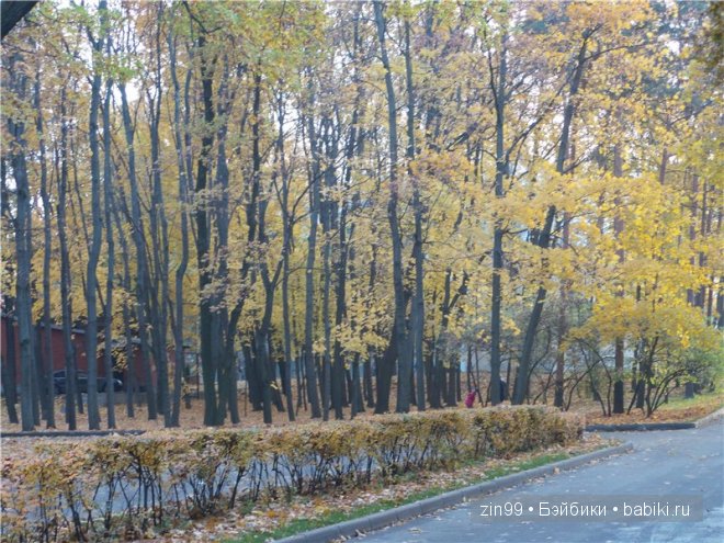 Золотая Осень или выставка на ВДНХа с куклой от Cabbage Patch Kids dolls