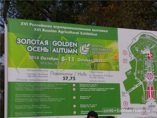 Золотая Осень или выставка на ВДНХа с куклой от Cabbage Patch Kids dolls