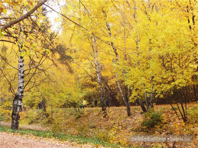 Багряная осень и новая любовь у кукол Monster High