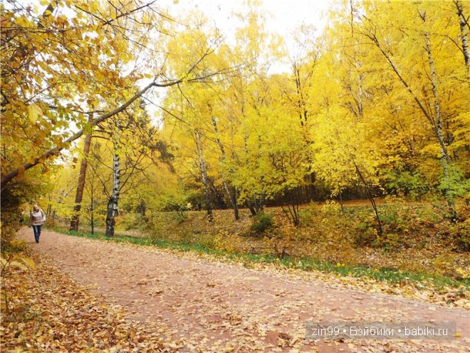 Багряная осень и новая любовь у кукол Monster High