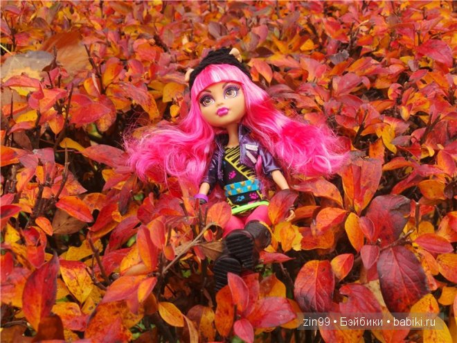 Багряная осень и новая любовь у кукол Monster High (фото 5)