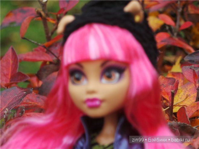 Багряная осень и новая любовь у кукол Monster High (фото 9)