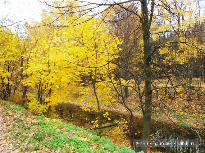 Багряная осень и новая любовь у кукол Monster High