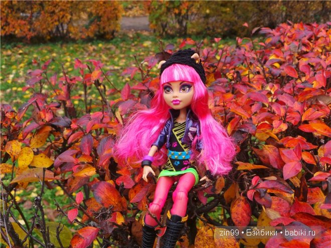 Багряная осень и новая любовь у кукол Monster High (фото 4)