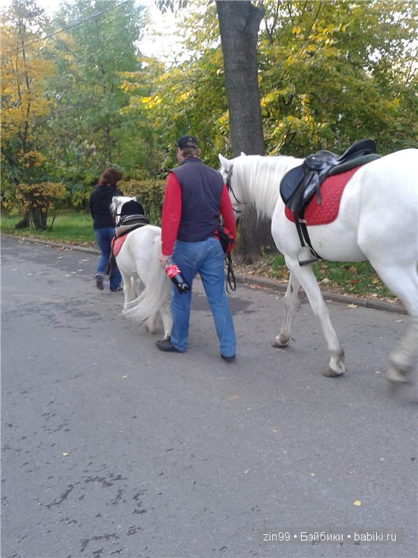 Кукла Пэтси Perfect Impressions Patsy — Идеальное впечатление и ее небольшое приключение