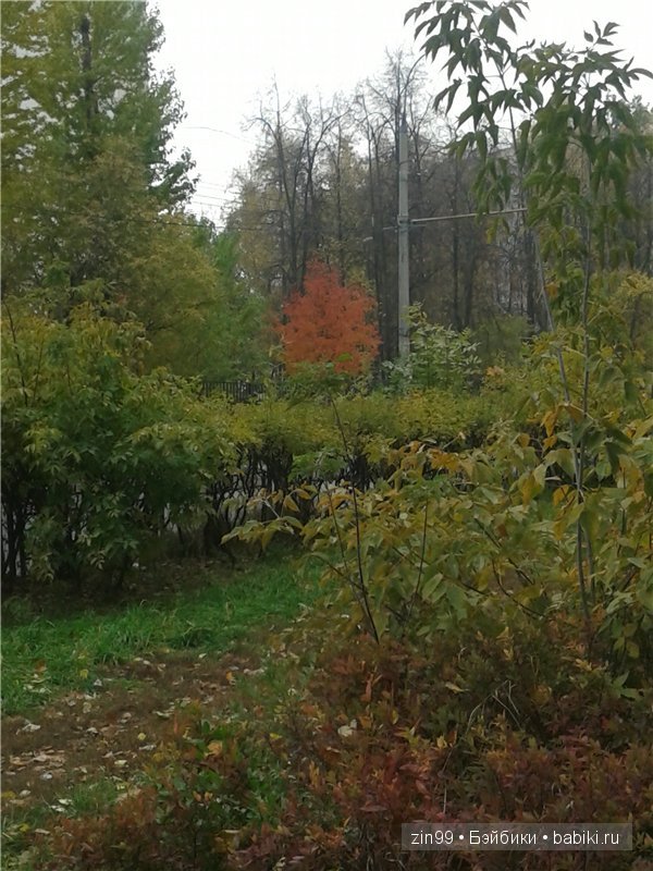 Кукла Пэтси Perfect Impressions Patsy — Идеальное впечатление и ее небольшое приключение