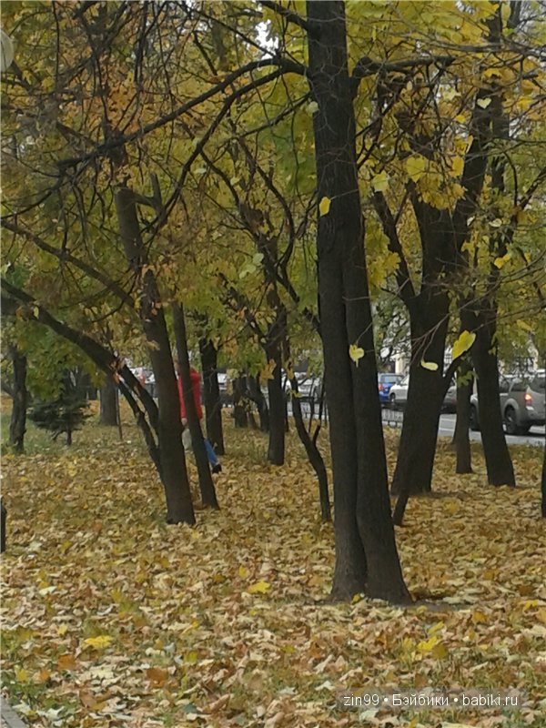 Кукла Пэтси Perfect Impressions Patsy — Идеальное впечатление и ее небольшое приключение