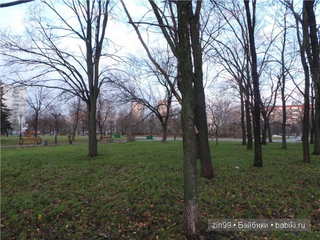 Лена, Lena Kidz 'n' Cats Лена, Lena Kidz 'n' Cats