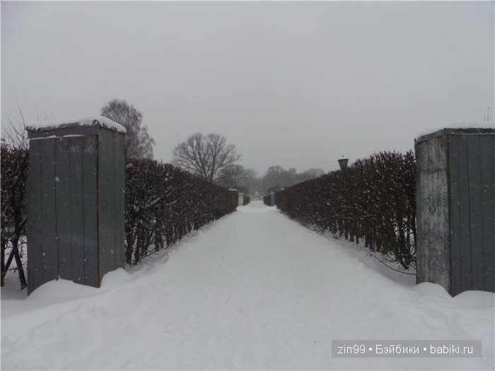 Лена, Lena Kidz 'n' Cats