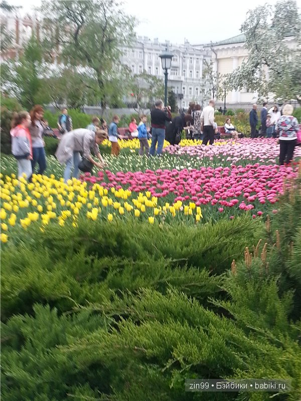 Лена, Lena Kidz 'n' Cats