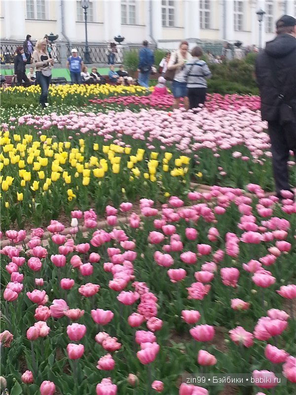 Лена, Lena Kidz 'n' Cats