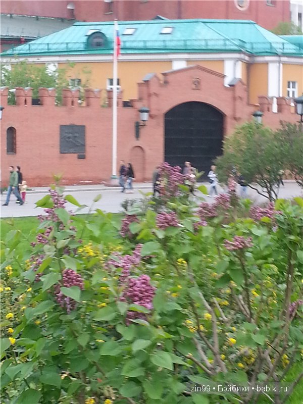 Лена, Lena Kidz 'n' Cats