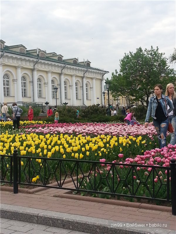 Лена, Lena Kidz 'n' Cats