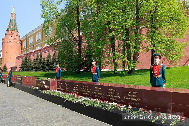 Лена, Lena Kidz 'n' Cats