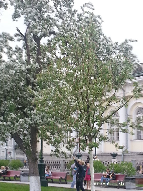 Лена, Lena Kidz 'n' Cats