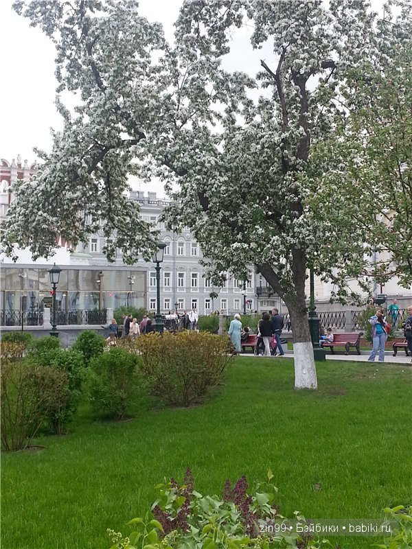 Лена, Lena Kidz 'n' Cats