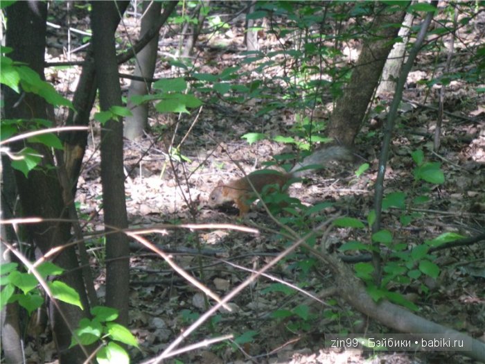 Фейсинка  Galoob Baby Face