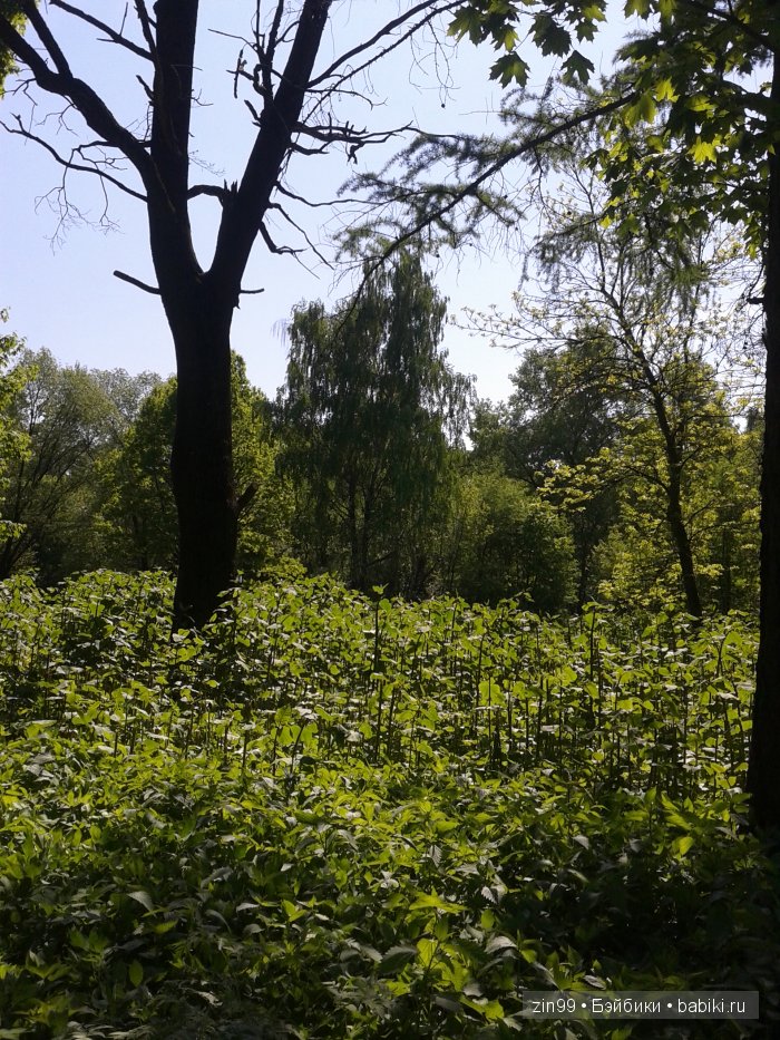 Фейсинка  Galoob Baby Face