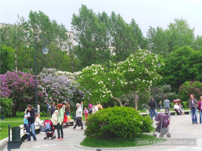 Лена, Lena Kidz 'n' Cats