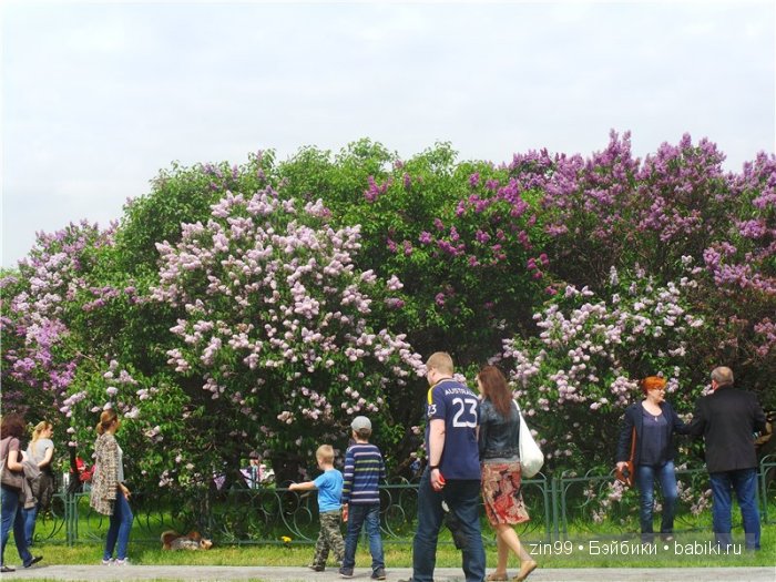 Лена, Lena Kidz 'n' Cats