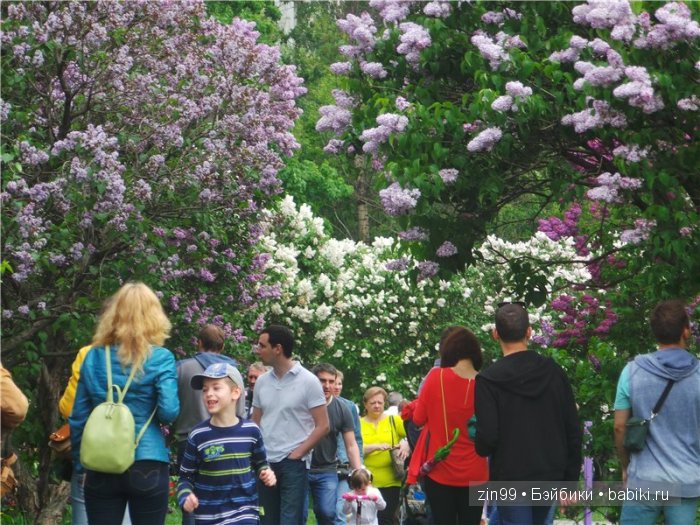 Лена, Lena Kidz 'n' Cats