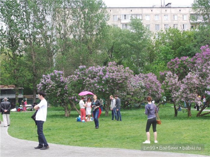 Лена, Lena Kidz 'n' Cats