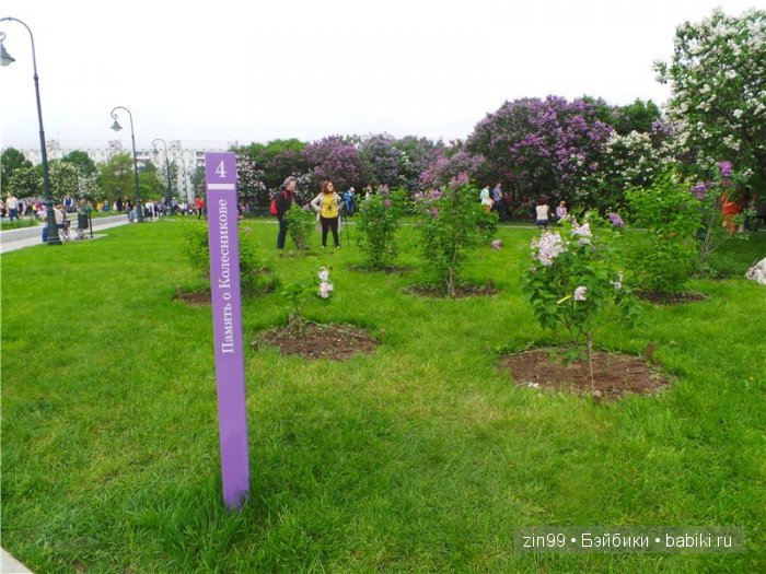 Лена, Lena Kidz 'n' Cats