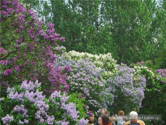 Лена, Lena Kidz 'n' Cats