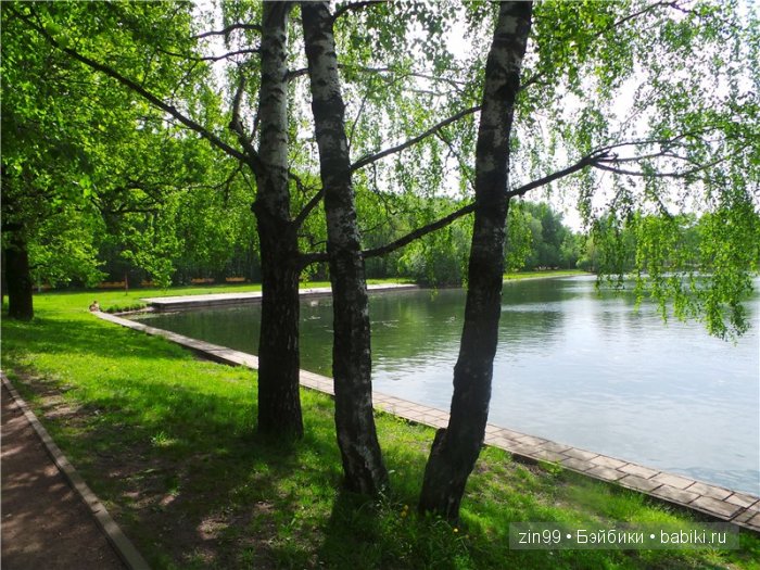 паола рейна