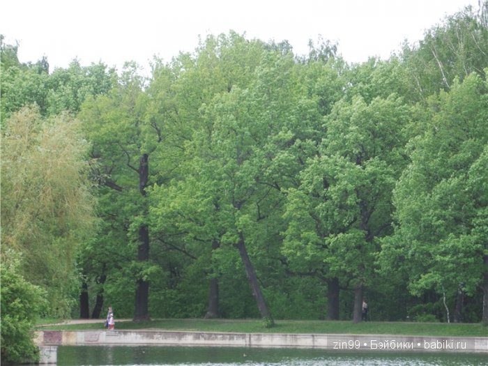 паола рейна