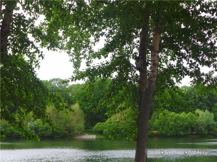 паола рейна