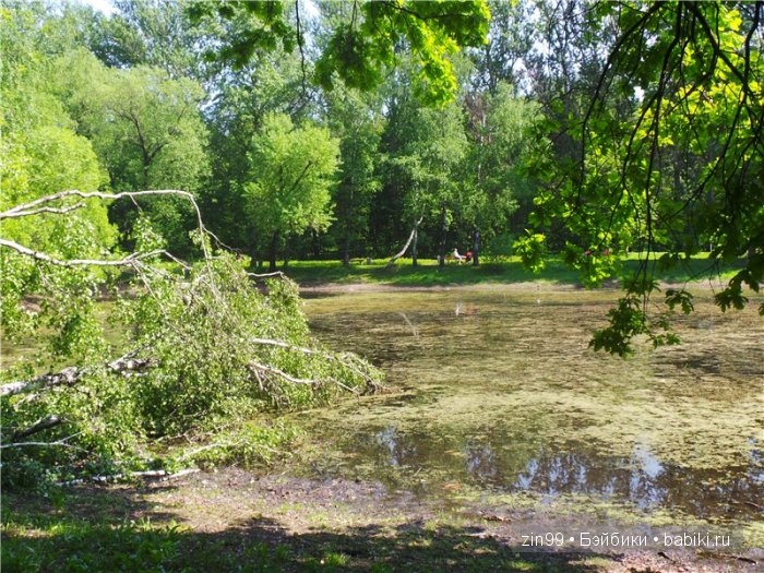 фэнси-нэнси