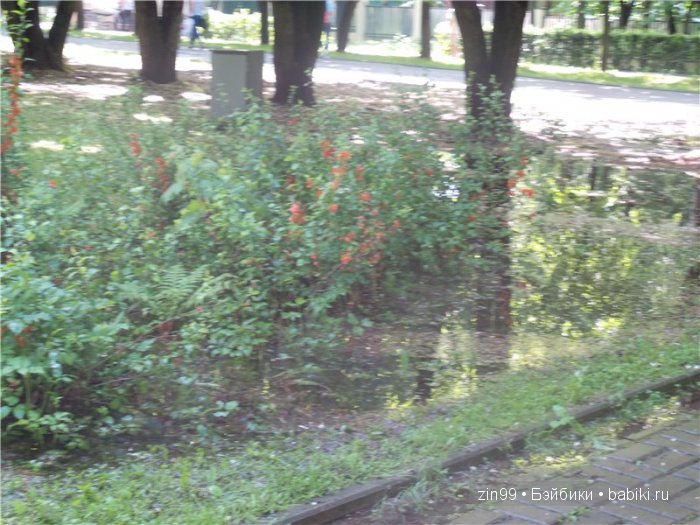 паола рейна