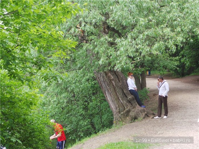 фэнси-нэнси