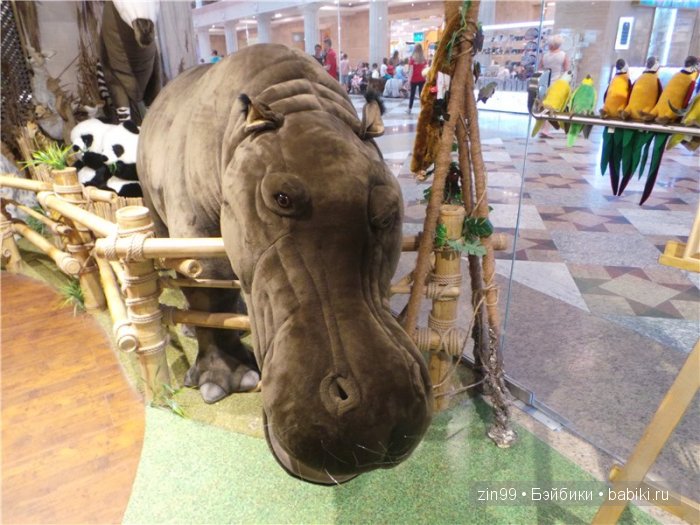 паола рейна