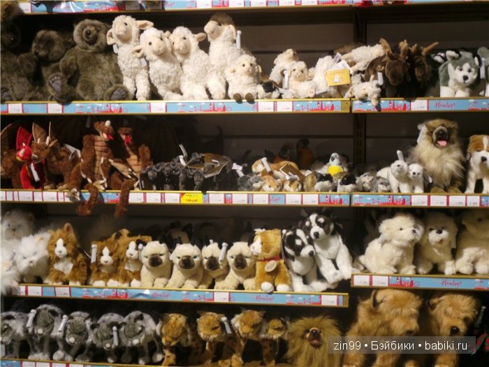 паола рейна