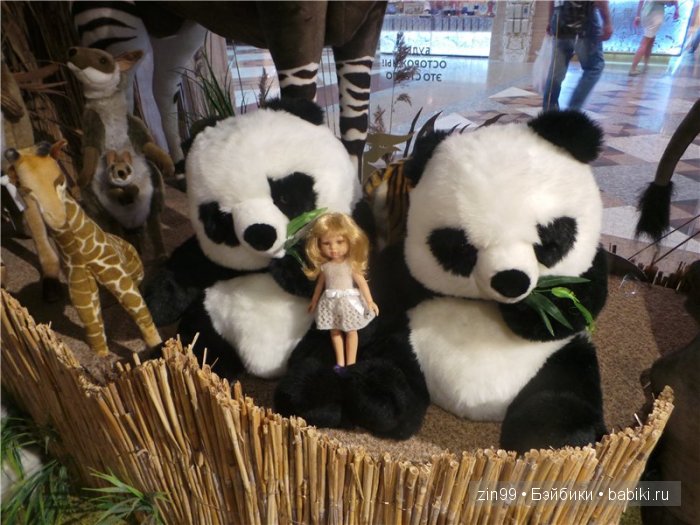 паола рейна