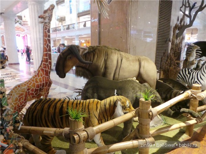 паола рейна