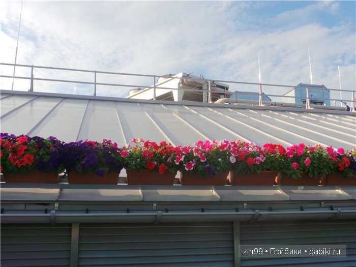 Детский Центральный магазин в Москве, продолжение-Музей Детства и не только