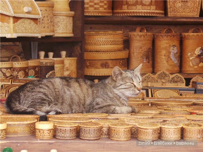 паола рейна паола рейна