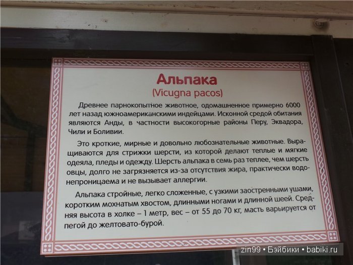 паола рейна