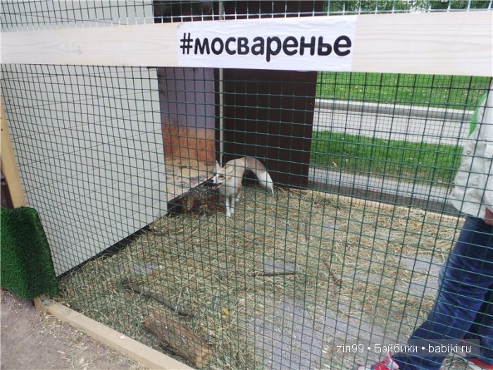 паола рейна