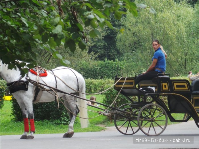 паола рейна