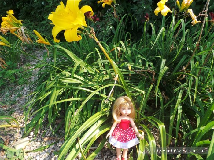 паола рейна